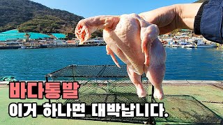 깜짝놀랄만한 결과! 통발미끼 그냥 이거쓰세요!! 통발에 생닭을 넣었더니 생각지도 못했던 생물이...ㄷㄷ