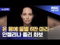 [뉴스터치] 온 몸에 꿀벌 6만 마리…안젤리나 졸리 화보 (2021.05.24/뉴스투데이/MBC)