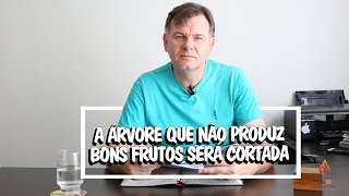 A árvore que não produz bons frutos será cortada - Mateus 3:10 - Dia a dia Com Cristo