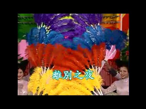 王勤, 劉珊琳 - 【熱舞舞台秀 五大美女 情歌對唱】離別之夜