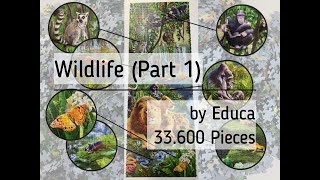 Doing the 33600 Piece Jigsaw Puzzle "Wildlife" by Educa (Part 1) - A Time Lapse