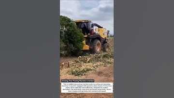 Amazing Tree Pruning Machine in Action! 🌳 | Smart Agriculture Innovation 🚜