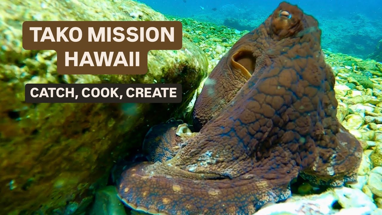 Tako Mission, Spearfishing in Hawaii | Catch, Cook, Create