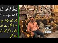 Best Chinioti furniture market in Chiniot | Pure Wood Furniture |