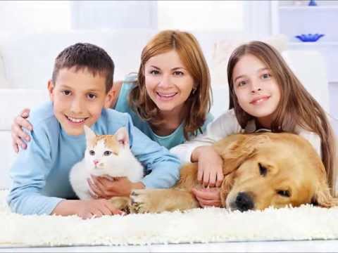 Mold Inspection Miami