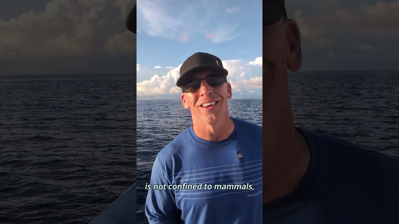 НЕВЕРОЯТНАЯ НАУКА