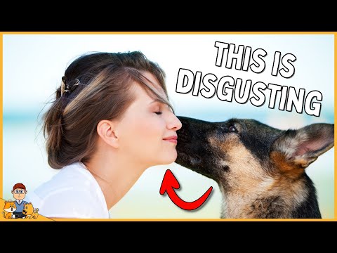 Gross thing dog owners need to stop doing IMMEDIATELY