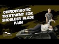 Chiropractic Treatment for Shoulder Blade Pain / Colorado Spine & Joint Center
