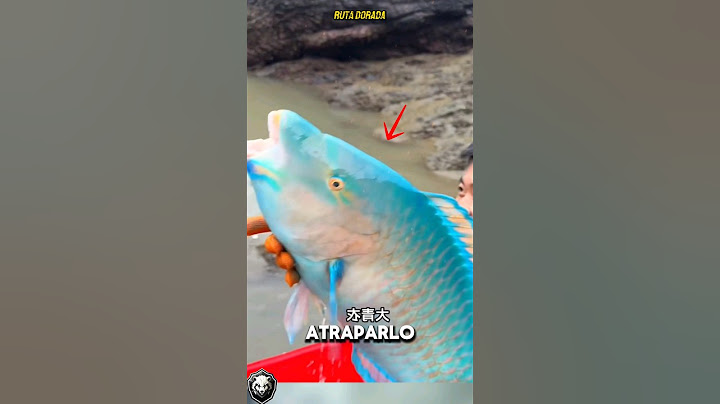 THEY FIND SOMETHING STRANGE WHEN FISHING IN THIS WELL! "South of China"