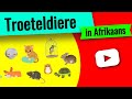 Troeteldiere in afrikaans  leer van troeteldiere