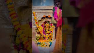 Ekvira Mauli New Whatsapp Status Aagri Koli mauli ekvira aai