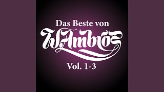 Video thumbnail of "Wolfgang Ambros & Georg Danzer - I wü frei sein"
