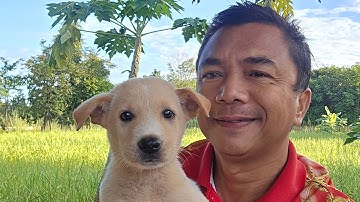 🔴สด! สวัสดีวันอาทิตย์จิตแจ่มใส คิดดีทำดีมีความสบายใจ
