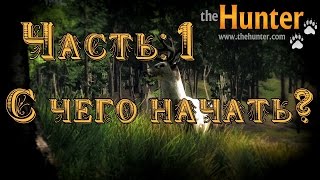 The Hunter #1 С чего начать? The Hunter #1 С чего начать?