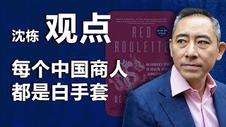 《红色轮盘》作者沈栋（上）：每个中国商人都是白手套｜观点