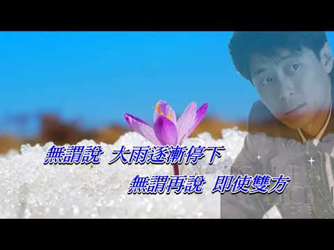 說謊的愛人   王傑〈卡拉伴奏 2S 降調版〉