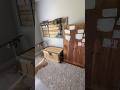 Turning my office into a real Rust 2x2 - What all loot have I made? #rust #rustshorts #rustconsole