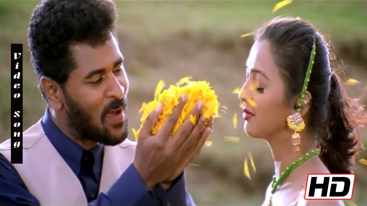 Manja kaattu maina song download