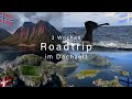 Norwegen Roadtrip 2020 - 3 Wochen camping im Dachzelt an den schönsten Orten bis hinter die Lofoten