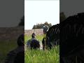 Ultimate Turkey Hunt Shot | Precision Bird Hunting Action 2026
