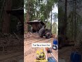 Wood Extraction in the Amazon! #goldrush #mining #jungle #mininglife