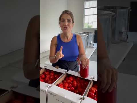 Video: Välja tomater för konservering: Populära konserverade tomatsorter
