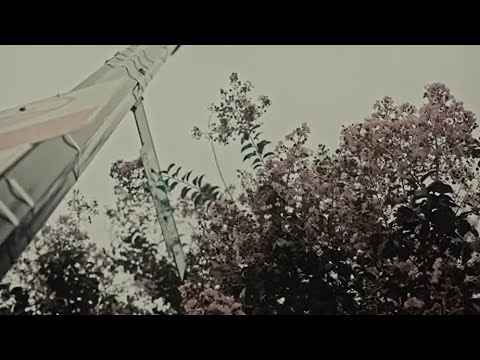 Zizii - Pride (Official Video) Dir @egdvisuals