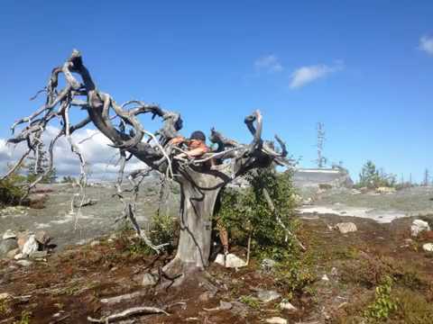 Video: Gunung Vottovaara Di Karelia - Tempat Kekuasaan - Pandangan Alternatif