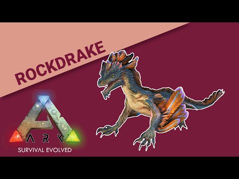 Video How To Tame A Rock Drake