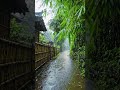 Rainy Village Walk ASMR | Peaceful POV Through a Lush Countryside Path