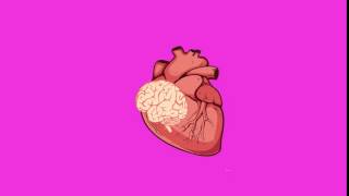 Brain Over Heart