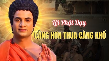 Nghe Lời Phật Dạy – Sống Tốt Phước Báu Tự Đến, Càng Hơn Thua Càng Khổ