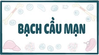 Bạch cầu mạn