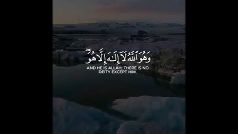 سورة القصص آية ﴿٧٠﴾ | ياسر الدوسري | حالات واتس | مقاطع انستقرام