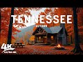 Autumn in Tennessee 4K UHD 🍂 Discover Vibrant Forests, Smoky Mountains And Peaceful Countryside