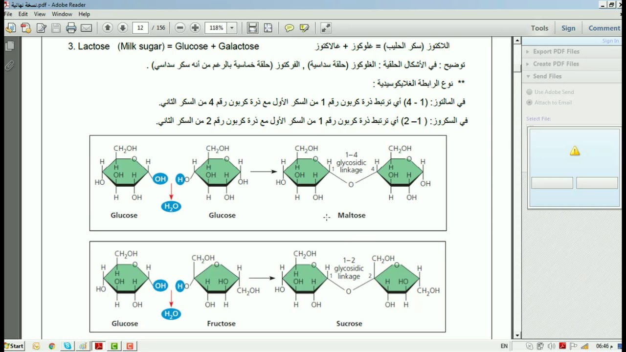 Biological Macromolecules Chart