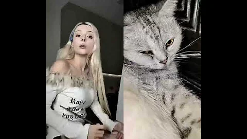 Watch the video about #cat #funny #memes #asia #dhaka #bangladesh #britishshorthair #duet #prettyfunny