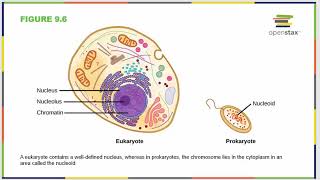 OpenStax Concepts of Biology Chapter Nine, Part One