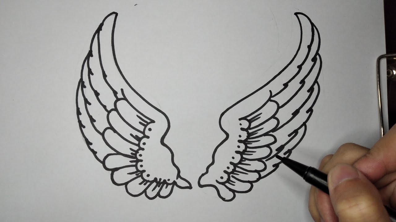 Cómo dibujar alas/How to draw wings YouTube Cómo dibujar alas/How to draw wings YouTube