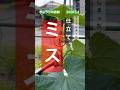 【きゅうり仕立てミスやらかしました】 #きゅうり栽培