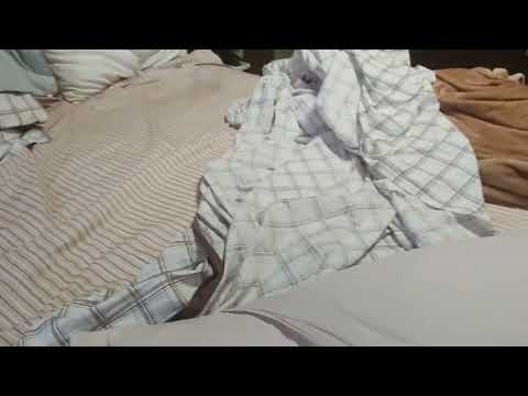 29 de outubro de 2022