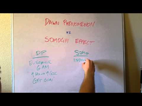 dawn-phenomenon-vs-somogyi-effect