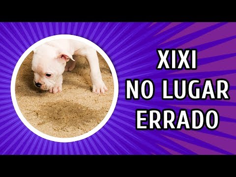 Xixi no lugar errado - possíveis motivos