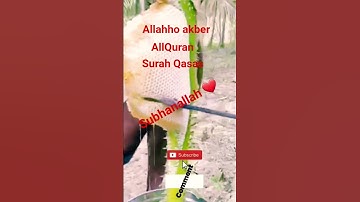 #القران_الكريم #تلاوه_خاشعه #قال رب انیی ظلمت نفسی #المصحف #foryou