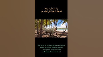 تلاوة مؤثرة | سورة العاديات | بصوت شيرزاد طاهر