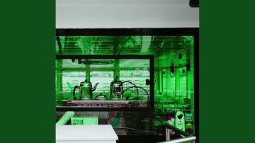 Vibrant Music for Java Vibes