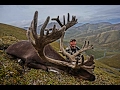 Sheep Hunt Arctic Red River Outfitters 2015