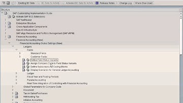 SAP Assign Field Status Variant To Company Code
