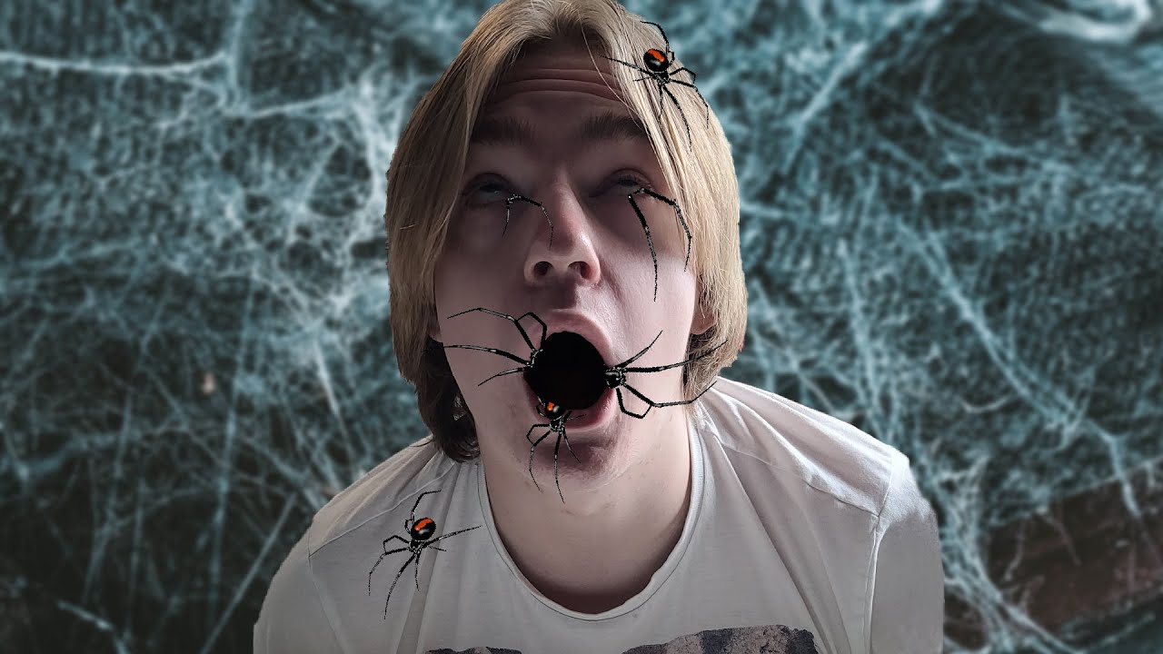 WARNING SPIDERS AHEAD! - control room alpha