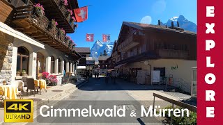 EXPLORE Gimmelwald & Mürren, alpine towns above Lauterbrunnen valley 🇨🇭 4K Walk